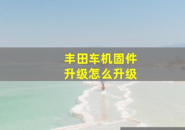 丰田车机固件升级怎么升级