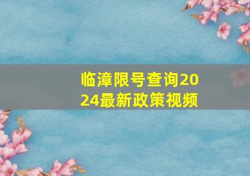 临漳限号查询2024最新政策视频