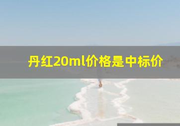 丹红20ml价格是中标价