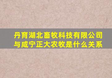 丹育湖北畜牧科技有限公司与咸宁正大农牧是什么关系