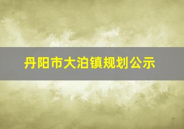 丹阳市大泊镇规划公示