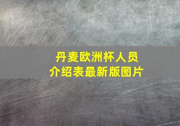 丹麦欧洲杯人员介绍表最新版图片