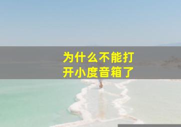 为什么不能打开小度音箱了