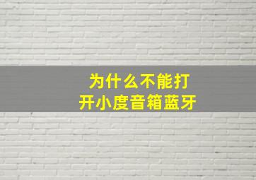 为什么不能打开小度音箱蓝牙