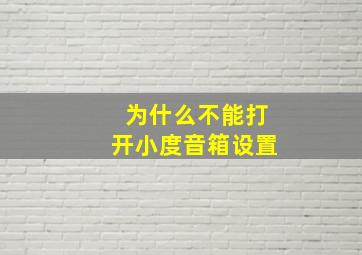 为什么不能打开小度音箱设置