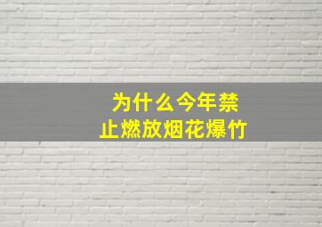 为什么今年禁止燃放烟花爆竹