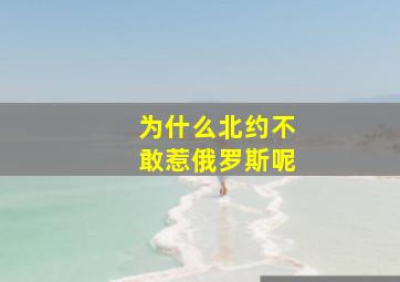 为什么北约不敢惹俄罗斯呢