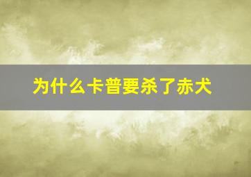 为什么卡普要杀了赤犬