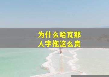 为什么哈瓦那人字拖这么贵