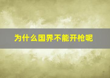 为什么国界不能开枪呢