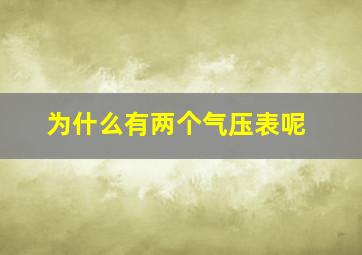 为什么有两个气压表呢