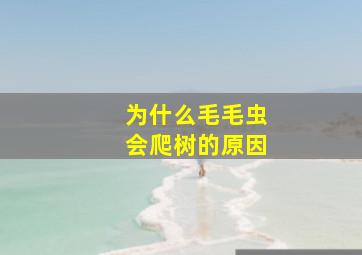 为什么毛毛虫会爬树的原因