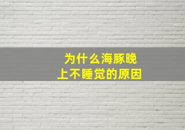 为什么海豚晚上不睡觉的原因