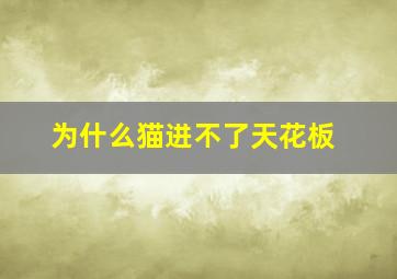 为什么猫进不了天花板