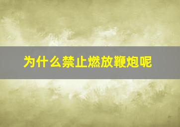 为什么禁止燃放鞭炮呢