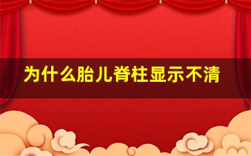 为什么胎儿脊柱显示不清