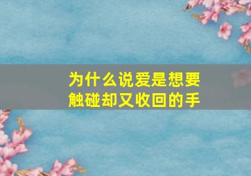 为什么说爱是想要触碰却又收回的手