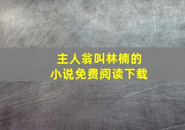 主人翁叫林楠的小说免费阅读下载