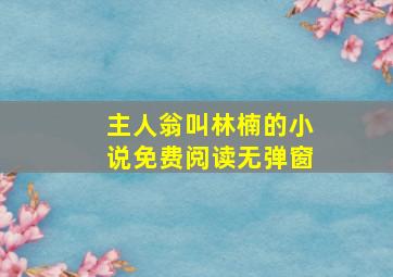 主人翁叫林楠的小说免费阅读无弹窗