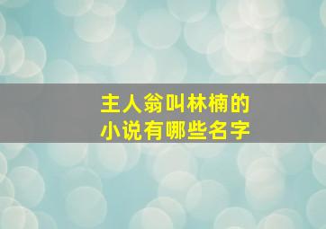 主人翁叫林楠的小说有哪些名字