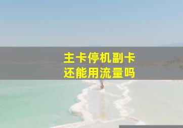 主卡停机副卡还能用流量吗