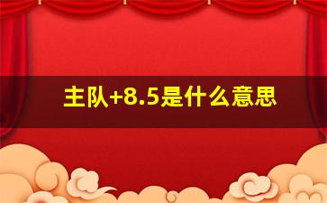 主队+8.5是什么意思