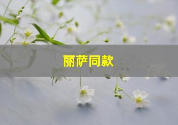 丽萨同款