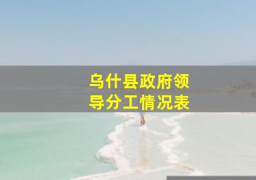 乌什县政府领导分工情况表