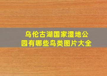 乌伦古湖国家湿地公园有哪些鸟类图片大全