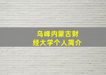 乌峰内蒙古财经大学个人简介