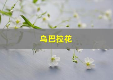 乌巴拉花