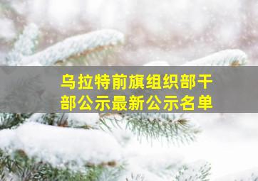 乌拉特前旗组织部干部公示最新公示名单