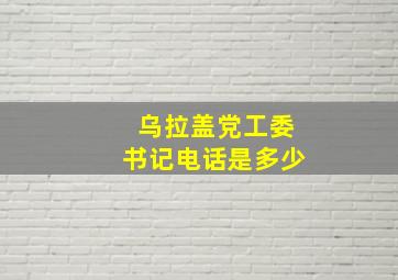 乌拉盖党工委书记电话是多少