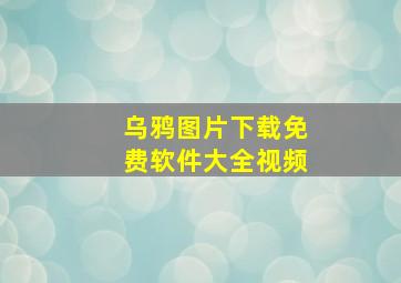 乌鸦图片下载免费软件大全视频