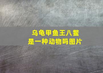 乌龟甲鱼王八鳖是一种动物吗图片