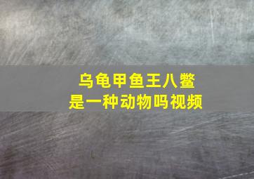 乌龟甲鱼王八鳖是一种动物吗视频