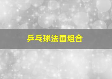 乒乓球法国组合