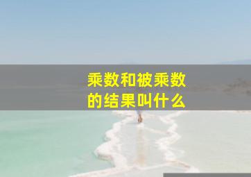 乘数和被乘数的结果叫什么