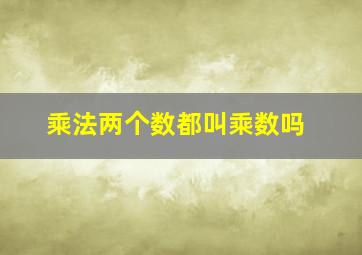 乘法两个数都叫乘数吗