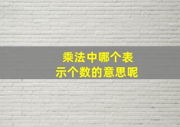 乘法中哪个表示个数的意思呢