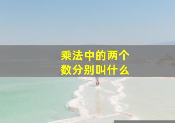 乘法中的两个数分别叫什么