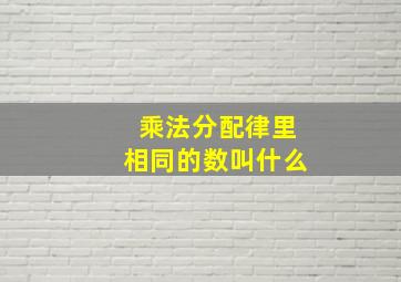 乘法分配律里相同的数叫什么