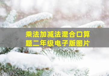 乘法加减法混合口算题二年级电子版图片