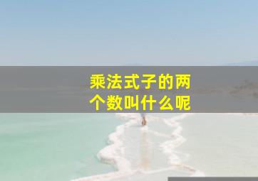 乘法式子的两个数叫什么呢