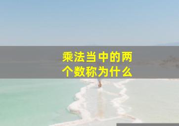 乘法当中的两个数称为什么