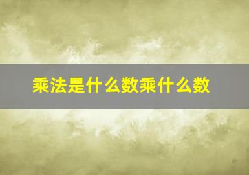 乘法是什么数乘什么数