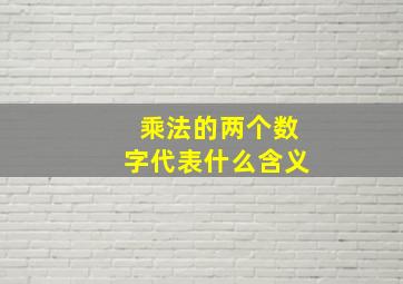 乘法的两个数字代表什么含义