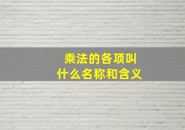 乘法的各项叫什么名称和含义