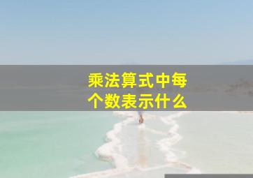 乘法算式中每个数表示什么