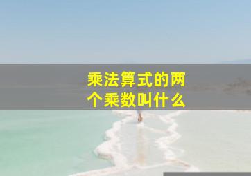 乘法算式的两个乘数叫什么